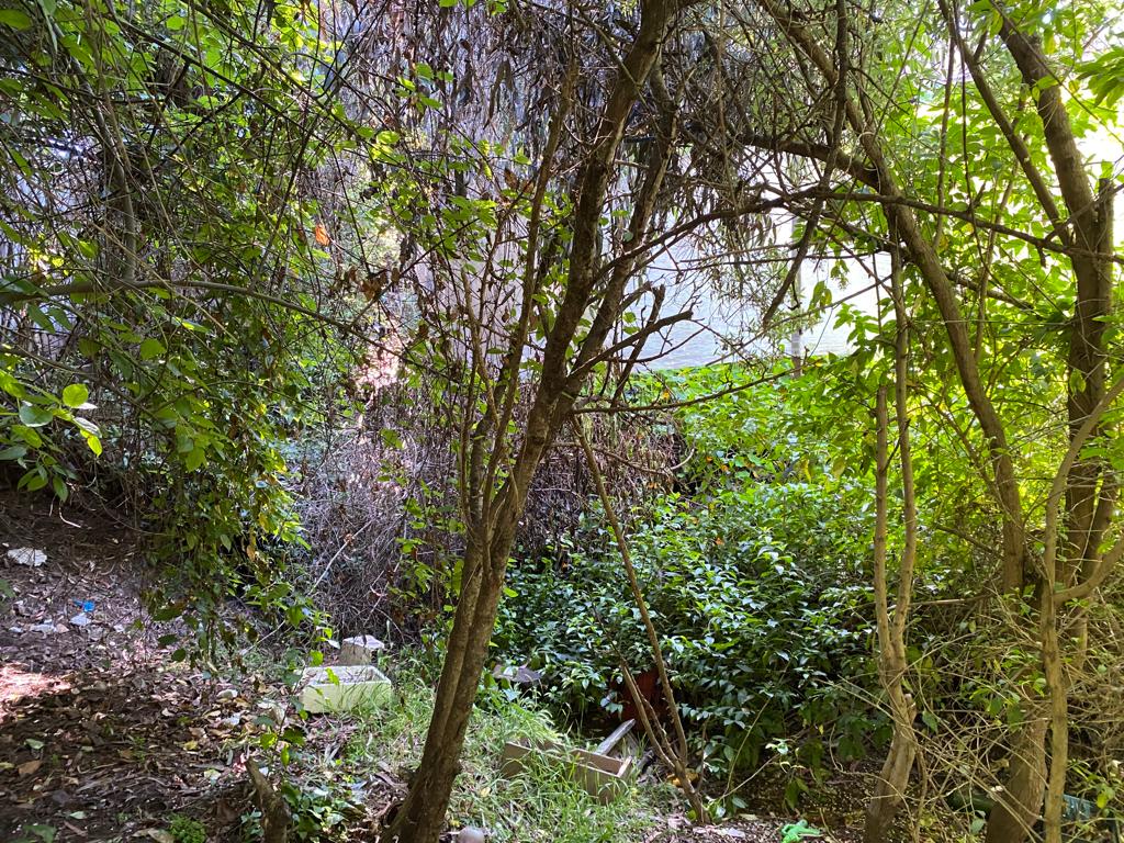 SE VENDE CASA CON AMPLIO TERRENO SAN ANTONIO - Imagen 12