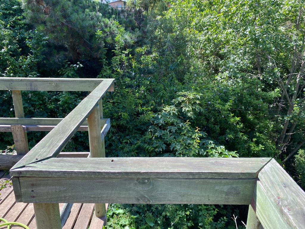 SE VENDE CASA CON AMPLIO TERRENO SAN ANTONIO - Imagen 16