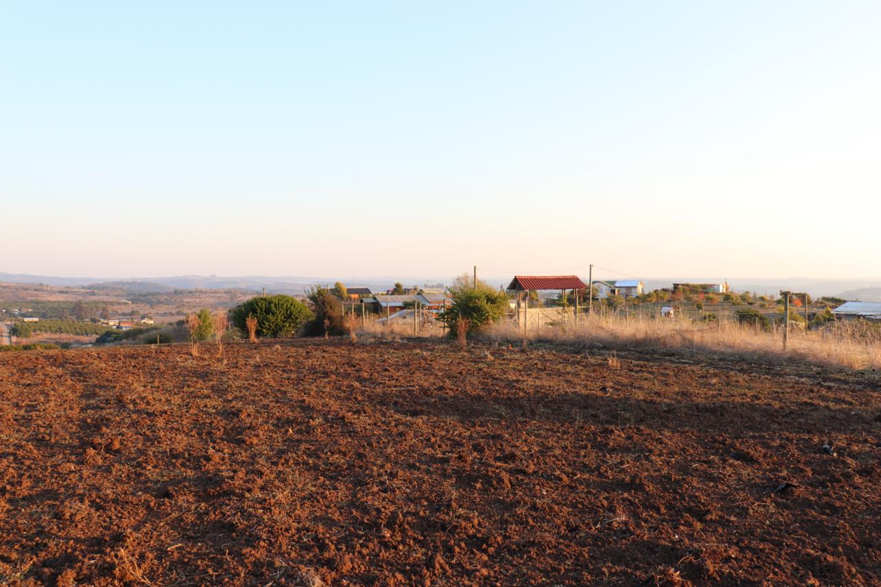 SE VENDE PARCELA AGRICOLA EN EL CONVENTO, SANTO DOMINGO - Imagen 2