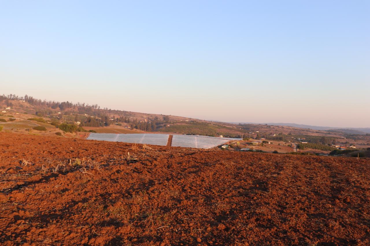 SE VENDE PARCELA AGRICOLA EN EL CONVENTO, SANTO DOMINGO - Imagen 3