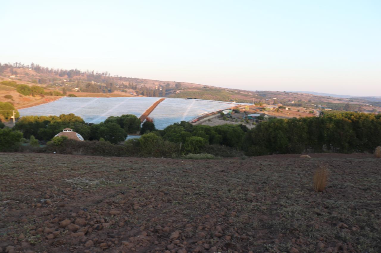SE VENDE PARCELA AGRICOLA EN EL CONVENTO, SANTO DOMINGO - Imagen 8