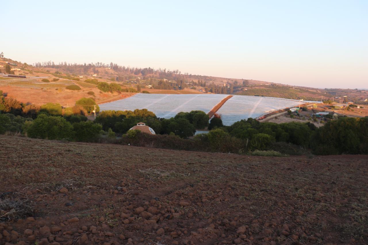 SE VENDE PARCELA AGRICOLA EN EL CONVENTO, SANTO DOMINGO - Imagen 9