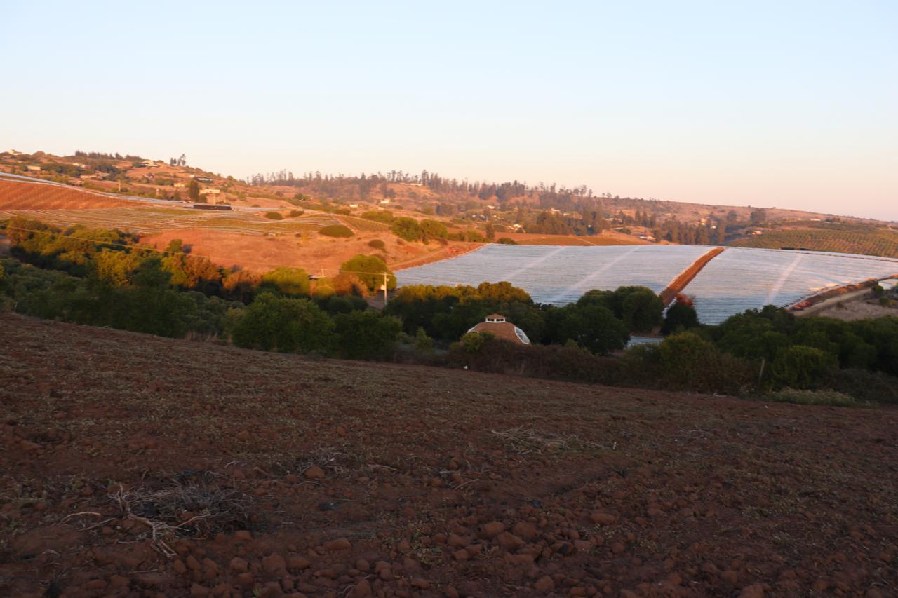 SE VENDE PARCELA AGRICOLA EN EL CONVENTO, SANTO DOMINGO - Imagen 10
