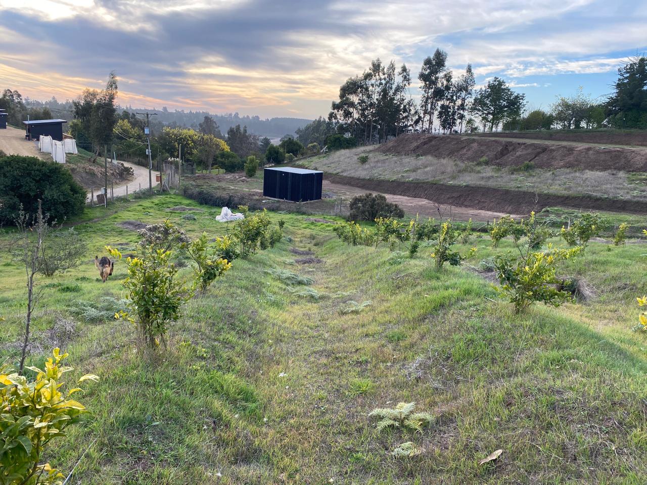 SE VENDE PARCELA CON 2 CASAS HABITACIONAL - Imagen 16