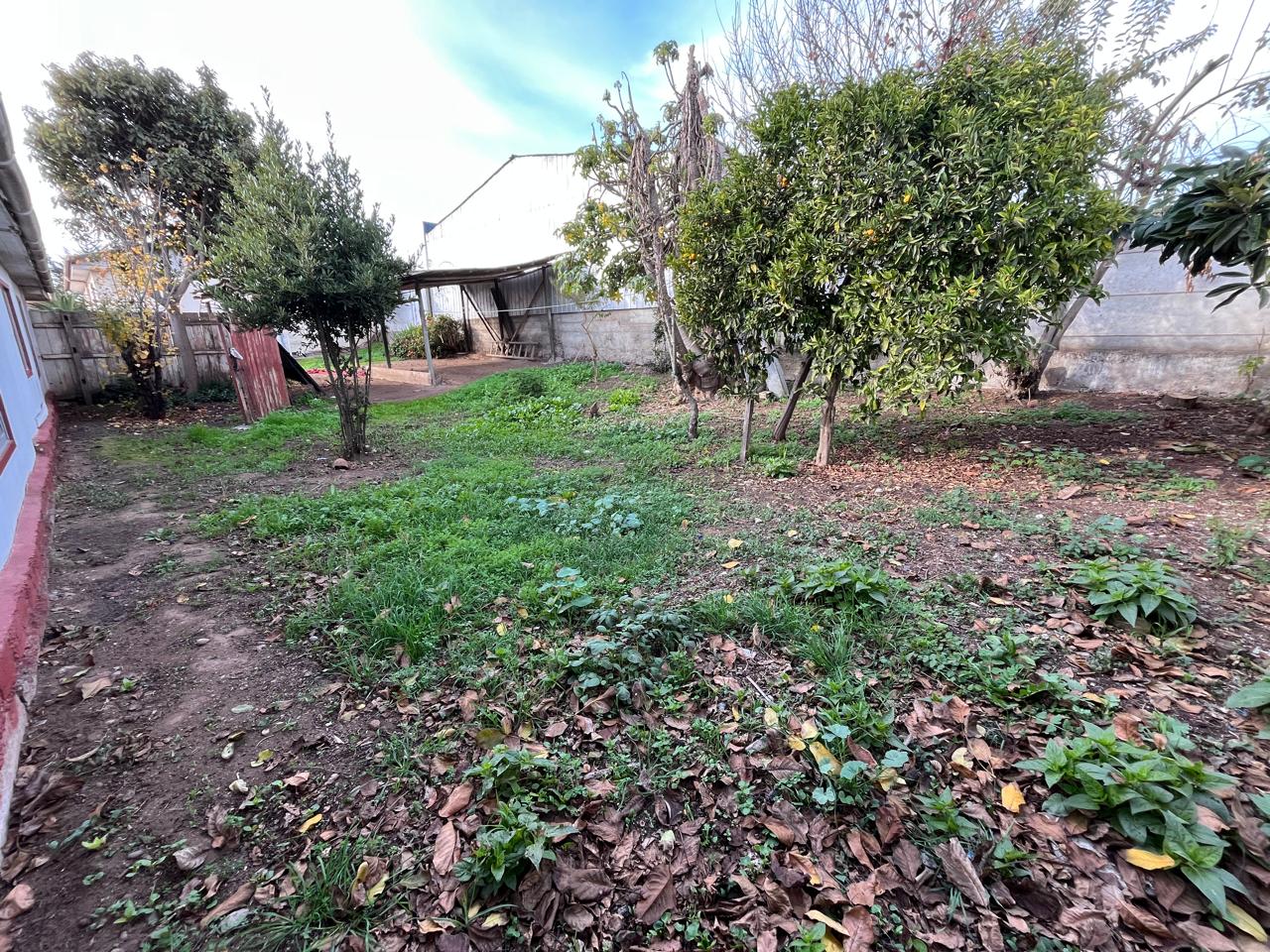 SE VENDE CASA CON AMPLIO TERRENO EN LLOLLEO - Imagen 15