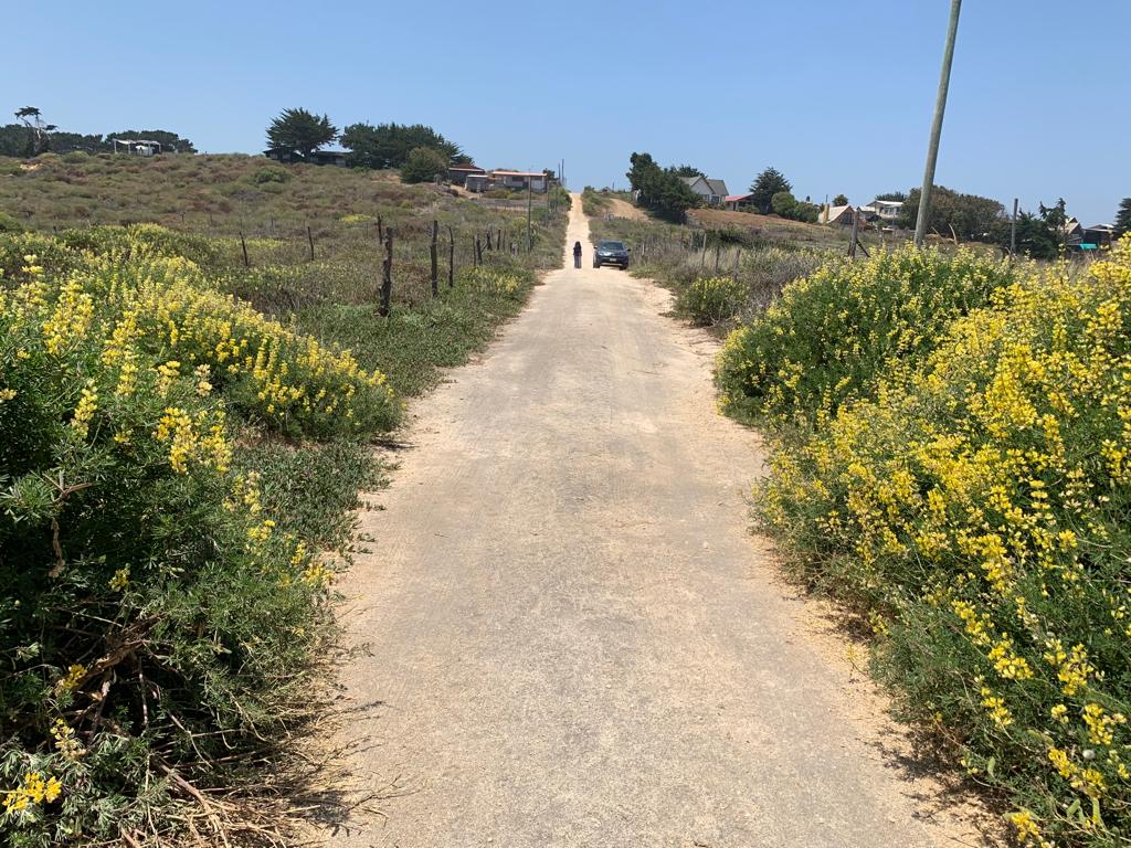 SE VENDE PARCELA A ORILLAS DE PLAYA EN CAHUIL, PICHILEMU - Imagen 12