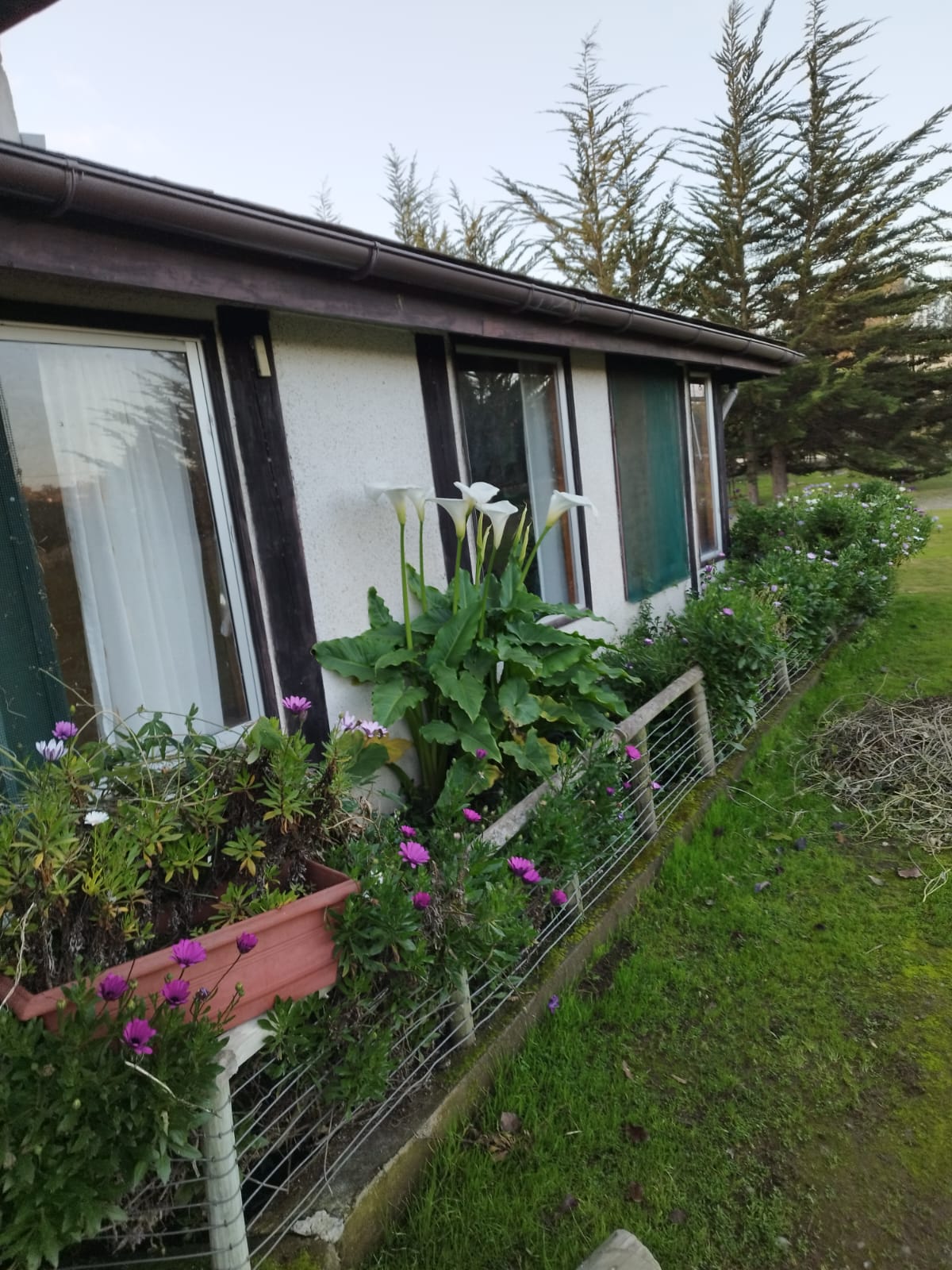 SE VENDE PARCELA CON 2 CASAS EN CONDOMINIO COLINAS DE SANTO DOMINGO - Imagen 13