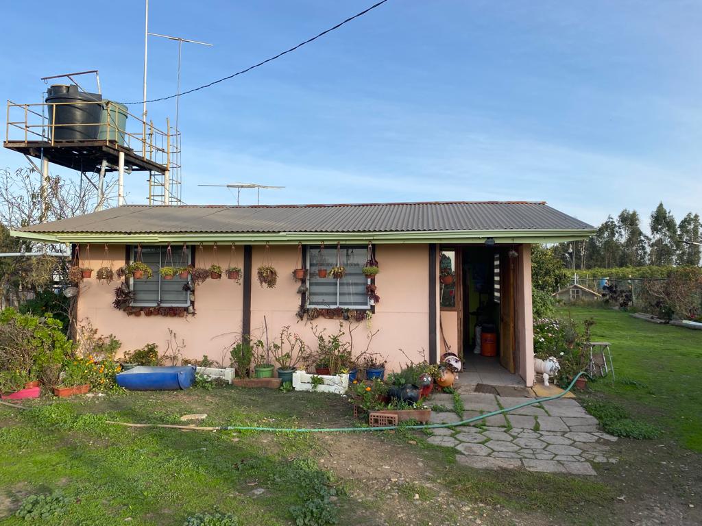 SE VENDE PARCELA EN CAMPO ALEGRE DE 2 Ha. EN SANTO DOMINGO - Imagen 13