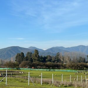 SE VENDE PARCELA EN LA LOCALIDAD DE LAS CABRAS, RUTA 66-80