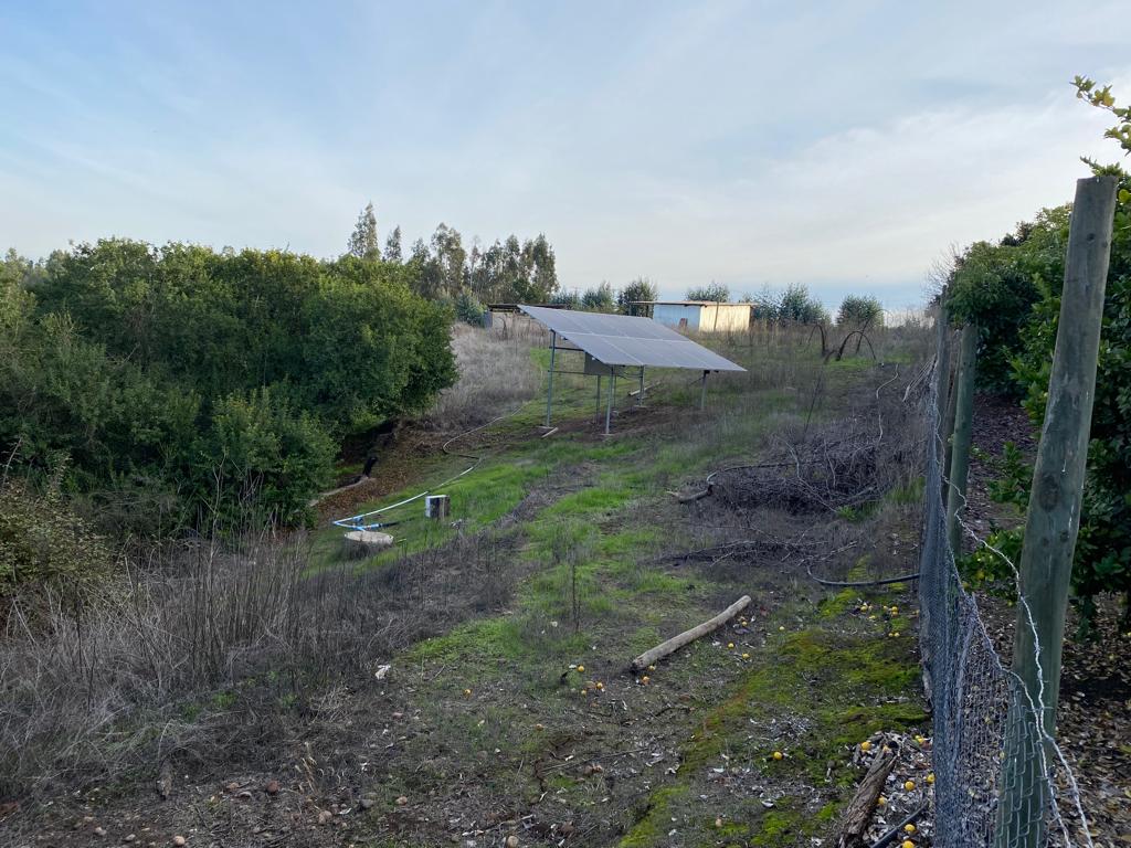 SE VENDE PARCELA EN CAMPO ALEGRE DE 2 Ha. EN SANTO DOMINGO - Imagen 14