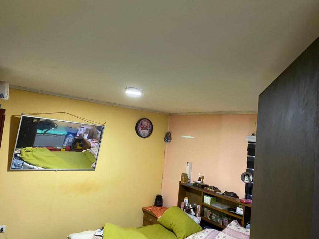SE VENDE PARCELA EN CAMPO ALEGRE DE 2 Ha. EN SANTO DOMINGO - Imagen 20