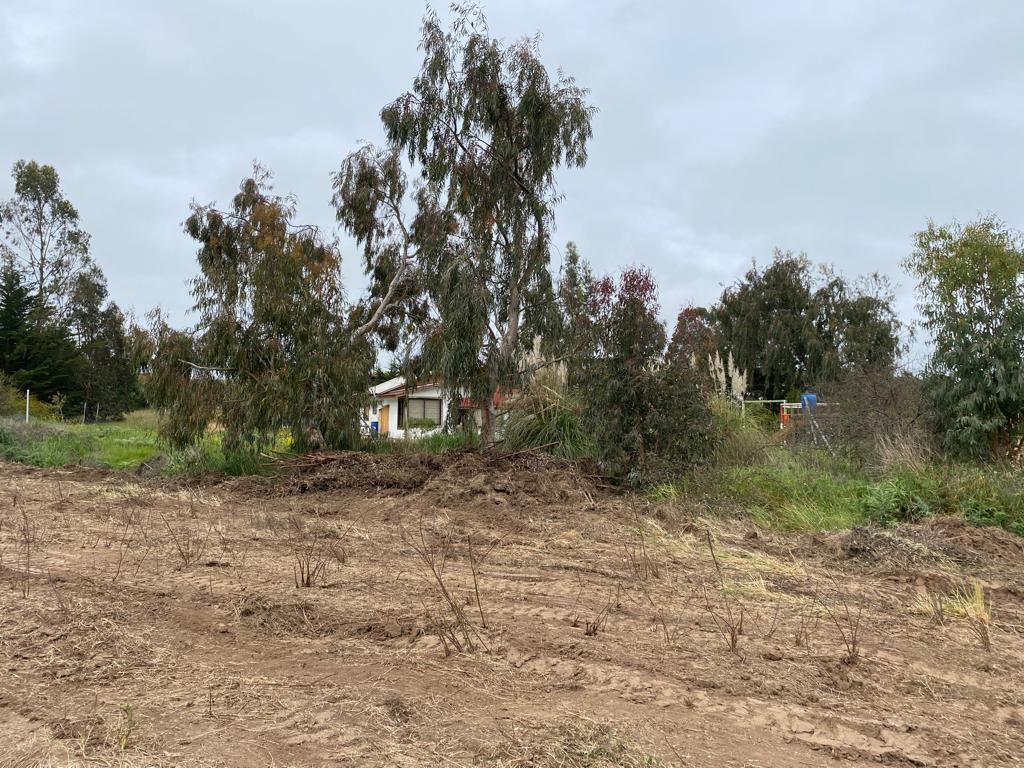 SE VENDE PARCELA CON CASA EN CAMPO ALEGRE, SANTO DOMINGO - Imagen 20