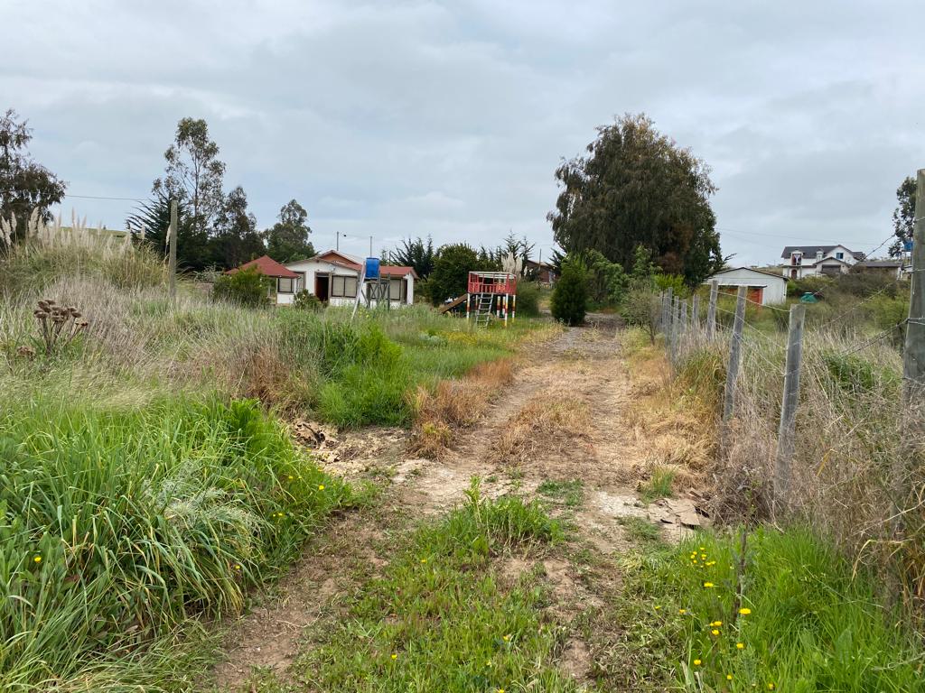 SE VENDE PARCELA CON CASA EN CAMPO ALEGRE, SANTO DOMINGO - Imagen 23