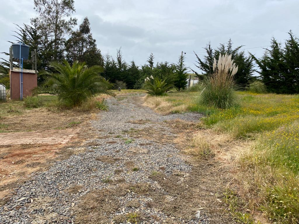 SE VENDE PARCELA CON CASA EN CAMPO ALEGRE, SANTO DOMINGO - Imagen 26