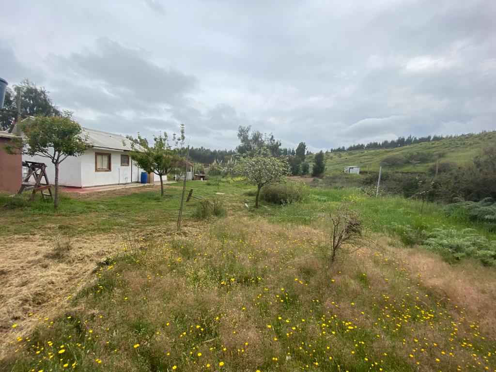 SE VENDE PARCELA CON CASA EN CAMPO ALEGRE, SANTO DOMINGO - Imagen 28
