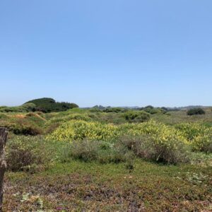 SE VENDE PARCELA A ORILLAS DE PLAYA EN CAHUIL, PICHILEMU