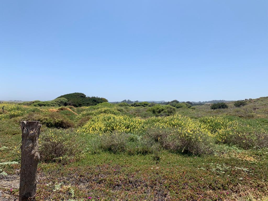SE VENDE PARCELA A ORILLAS DE PLAYA EN CAHUIL, PICHILEMU