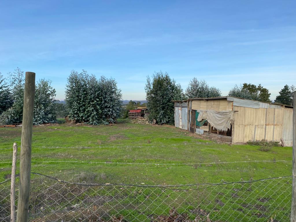 SE VENDE PARCELA EN CAMPO ALEGRE DE 2 Ha. EN SANTO DOMINGO - Imagen 6