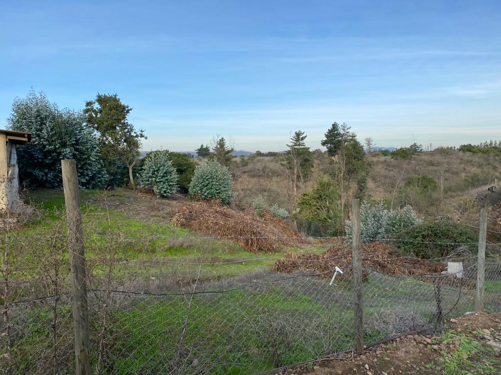 SE VENDE PARCELA EN CAMPO ALEGRE DE 2 Ha. EN SANTO DOMINGO - Imagen 7