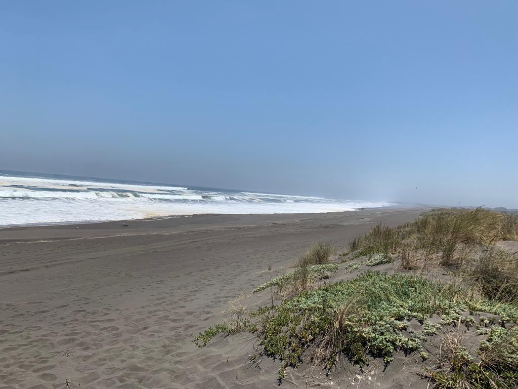 SE VENDE PARCELA A ORILLAS DE PLAYA EN CAHUIL, PICHILEMU - Imagen 9