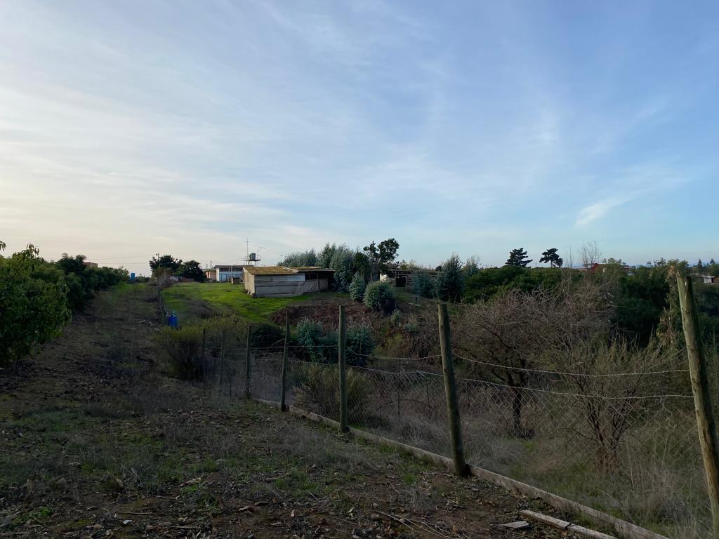 SE VENDE PARCELA EN CAMPO ALEGRE DE 2 Ha. EN SANTO DOMINGO - Imagen 9