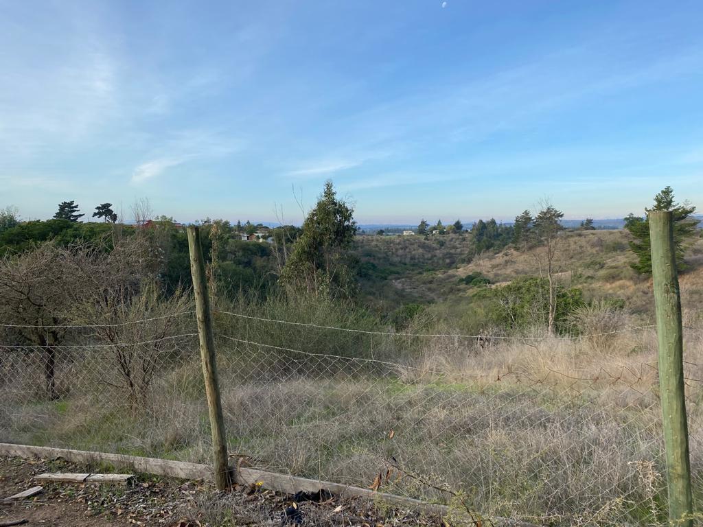 SE VENDE PARCELA EN CAMPO ALEGRE DE 2 Ha. EN SANTO DOMINGO - Imagen 10