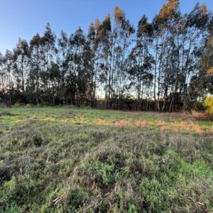SE VENDE TERRENO EN CONDOMINIO, SANTO DOMINGO
